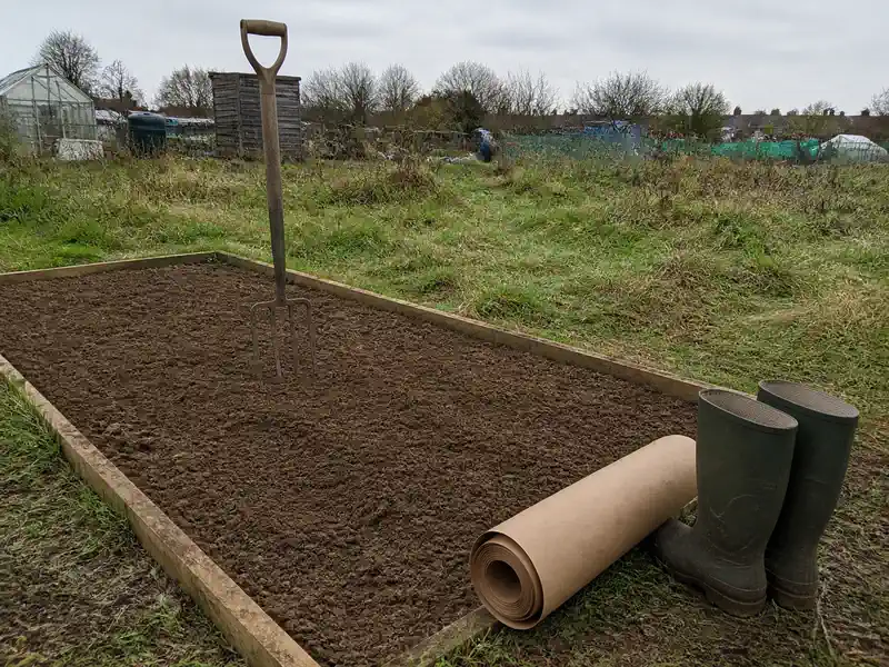 A single cleared and raked bed edged with scaffold board on a newly taken on allotment plot, with a fork standing in the soil, a roll of cardboard and muddy wellington boots beside it.